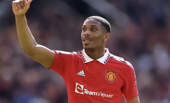 岁的比利时 岁的比利时